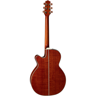 Takamine LTD2023 Santa-Fe