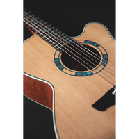 Takamine LTD2023 Santa-Fe