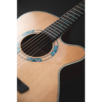 Takamine LTD2023 Santa-Fe