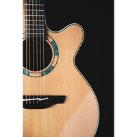 Takamine LTD2023 Santa-Fe