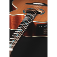 Takamine LTD2023 Santa-Fe