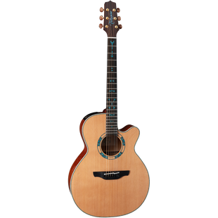 Takamine LTD2023 Santa-Fe