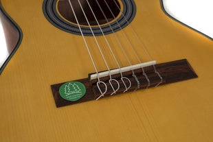 GEWA STUDENT 1/4 KLASSIKGITARRE MASSIVE FICHTENDECKE - DANYS MUSIC SHOP VILLACH