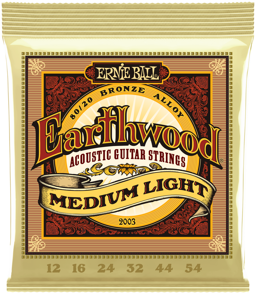 ERNIE BALL EARTHWOOD BRONZE SAITEN - DANYS MUSIC SHOP VILLACH