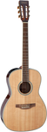 TAKAMINE GY51E NAT NEW YORK