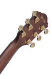 IBANEZ AEG550-BK US SONDERMODELL - DANYS MUSIC SHOP VILLACH