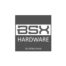 BSX Logo